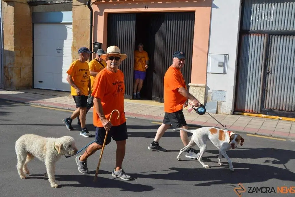 villaralbo paseo solidario azayca_60