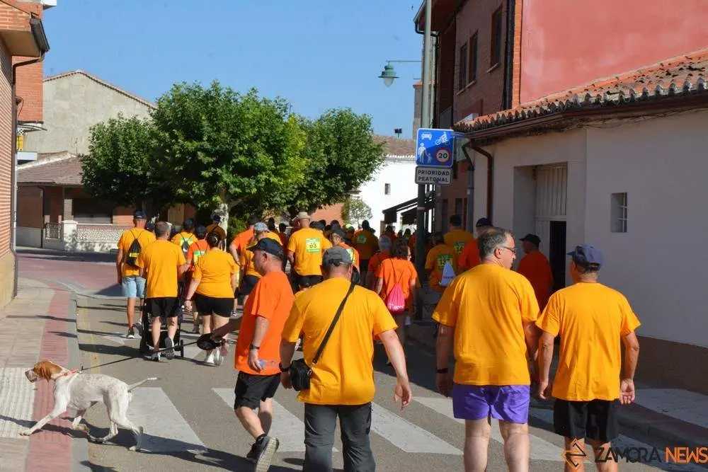 villaralbo paseo solidario azayca_61