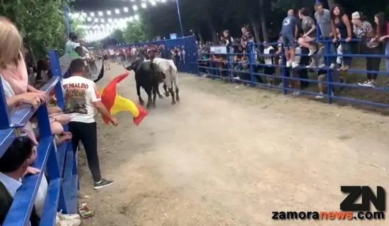 encierro venialbo