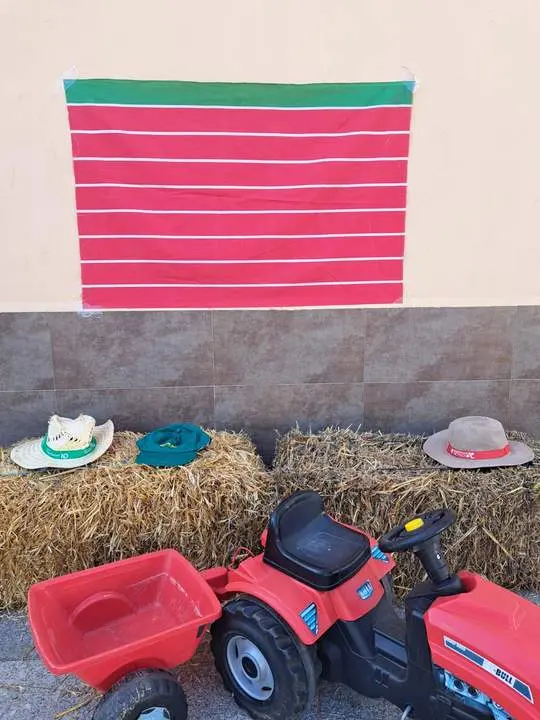 Tractorada mini Burganes de Valverde4