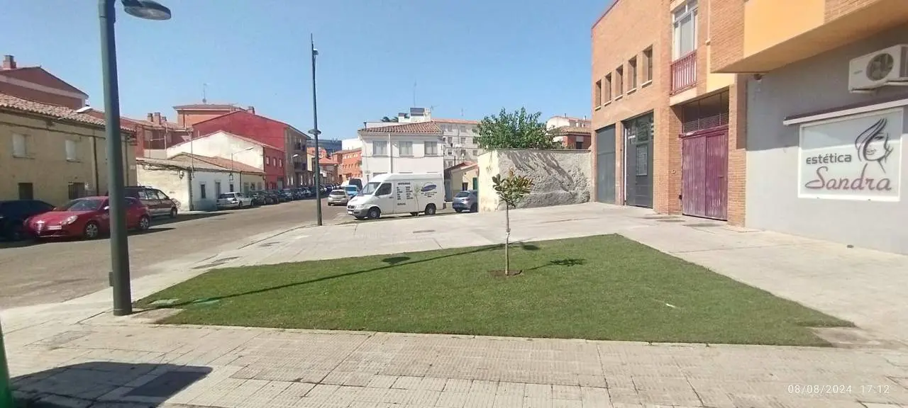 ajardinamiento Calle amor de dios