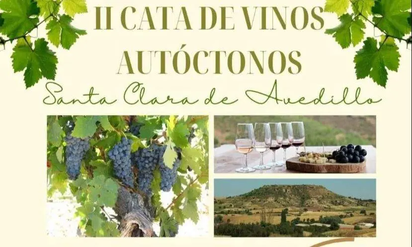 Cata de vinos Avedillo