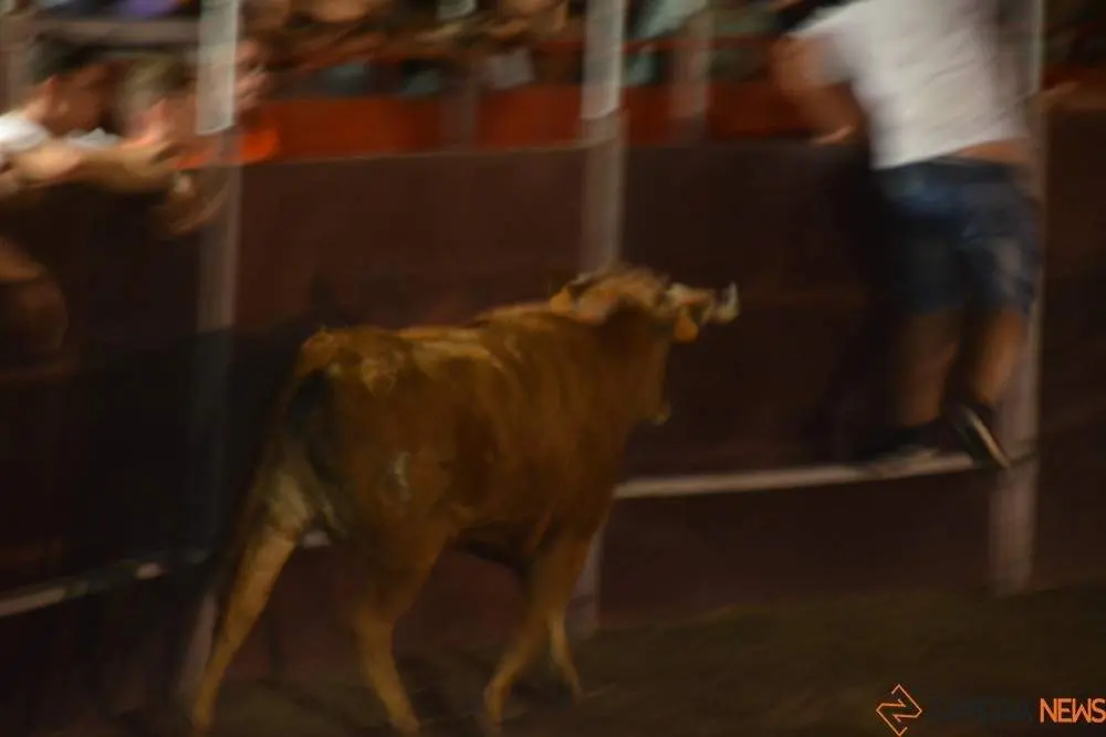 villaralbo toros vaquillas_8