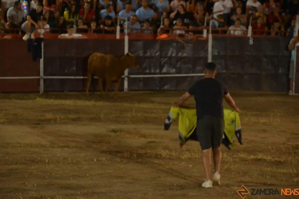 villaralbo toros vaquillas_10