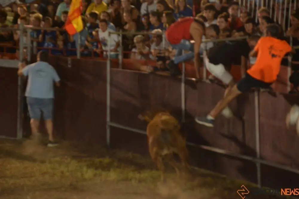 villaralbo toros vaquillas_13