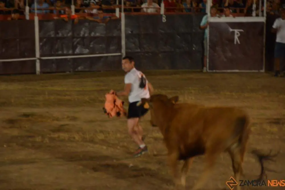 villaralbo toros vaquillas_18