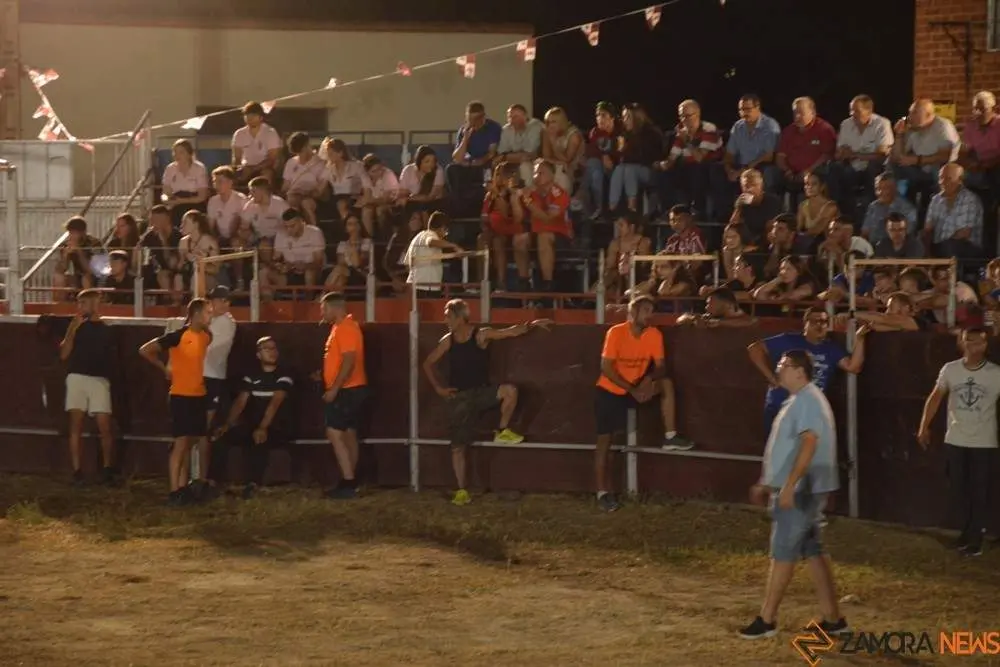 villaralbo toros vaquillas_22