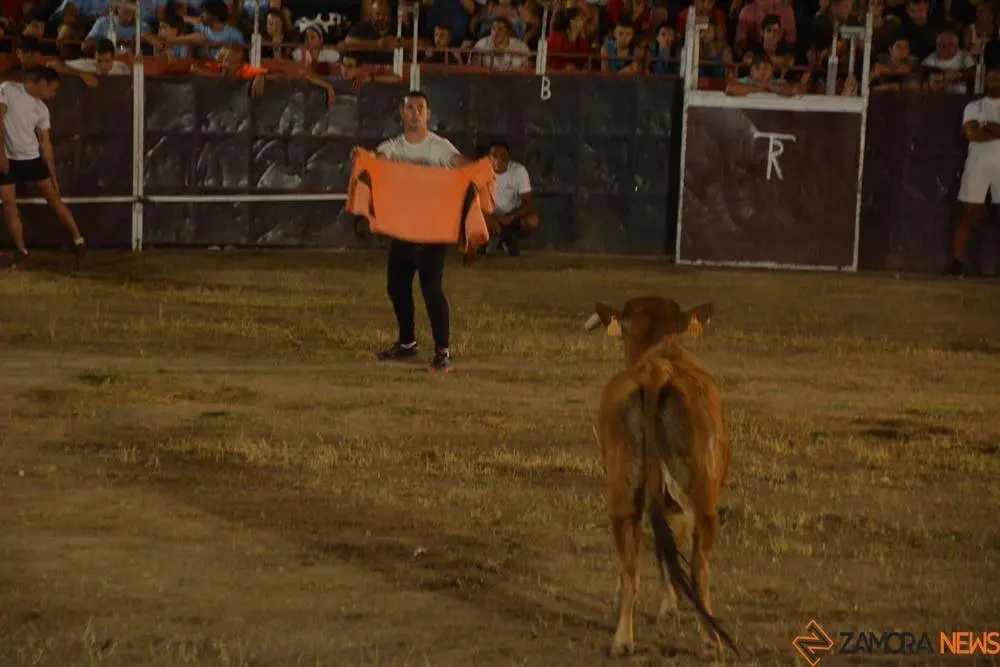 villaralbo toros vaquillas_24