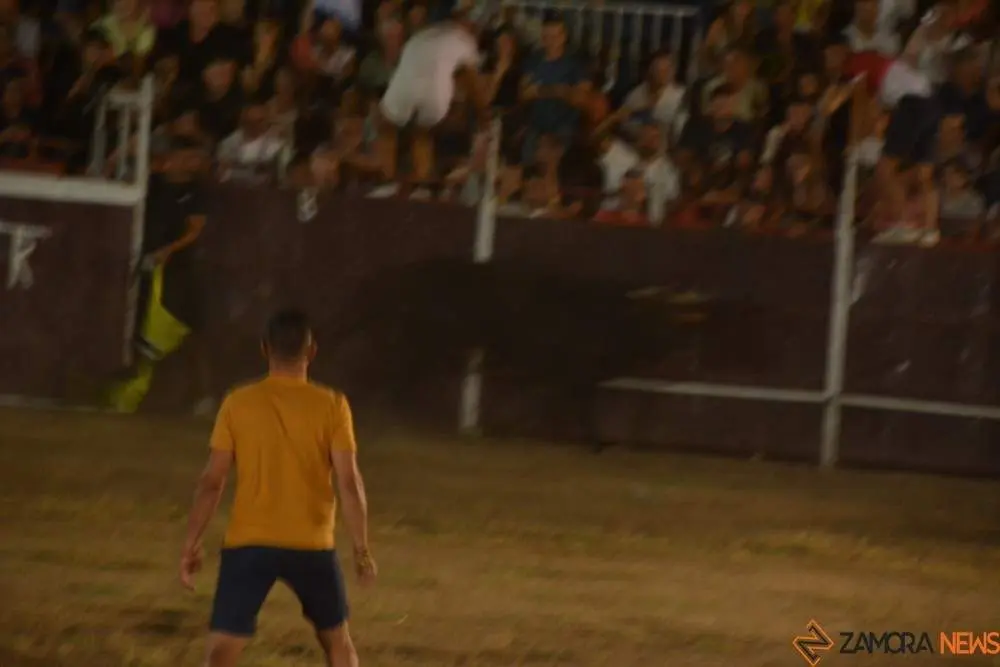 villaralbo toros vaquillas_36