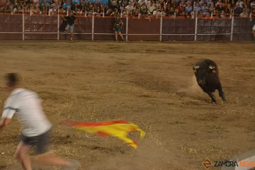 villaralbo toros vaquillas_38