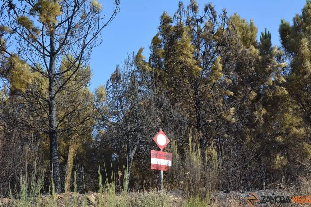 fuego alcañices_26