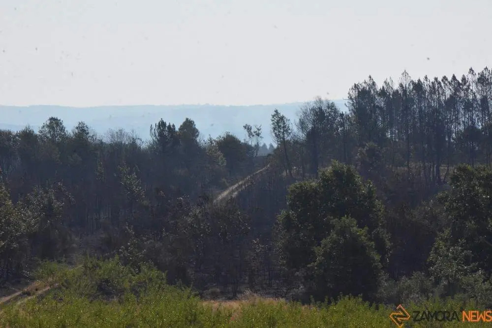 fuego alcañices_32