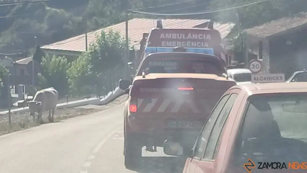 fuego alcañices_33