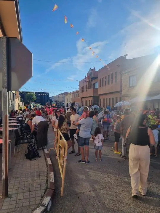 desfile de carrozas de Quiruelas de Vidriales (1)