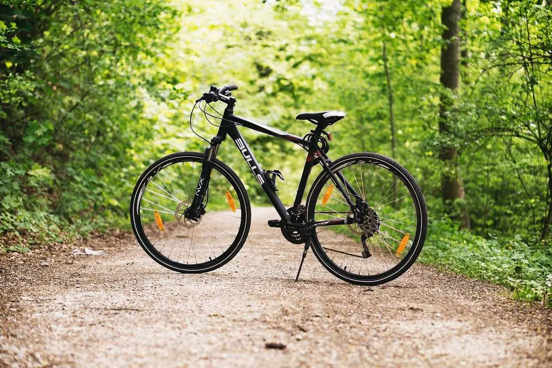 Ruta en Bicicleta Archivo