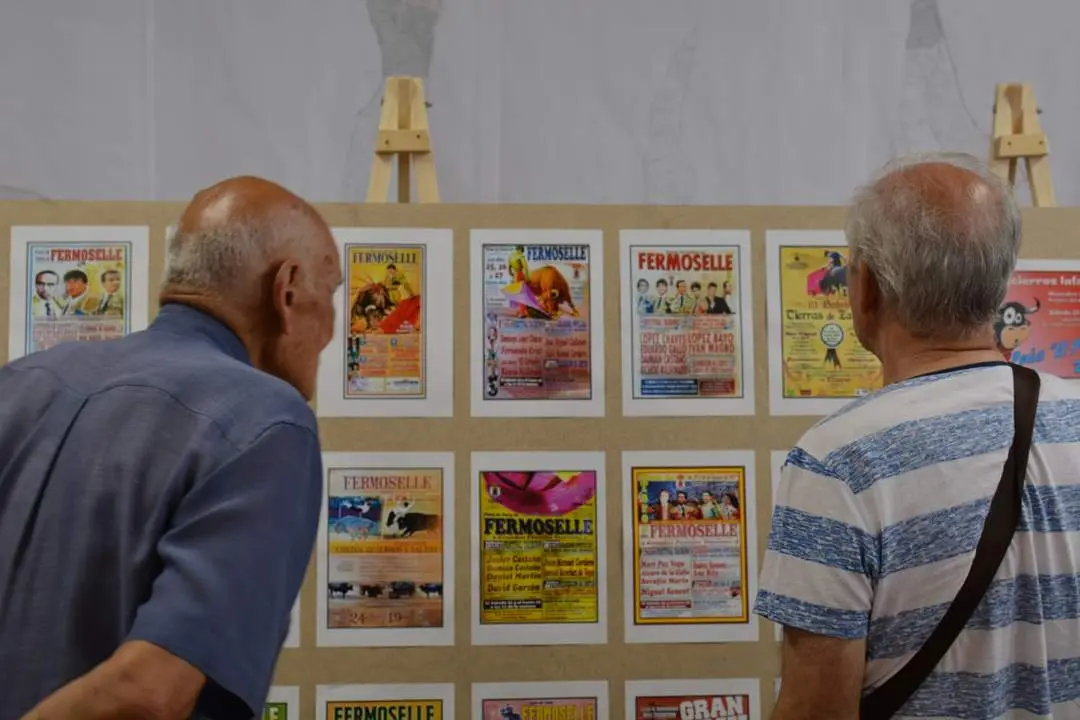 Exposición Fermoselle. Foto de Sergio Maranjo (13)