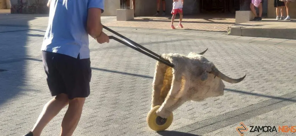 Tarde taurina para peques. Villaralbo_17