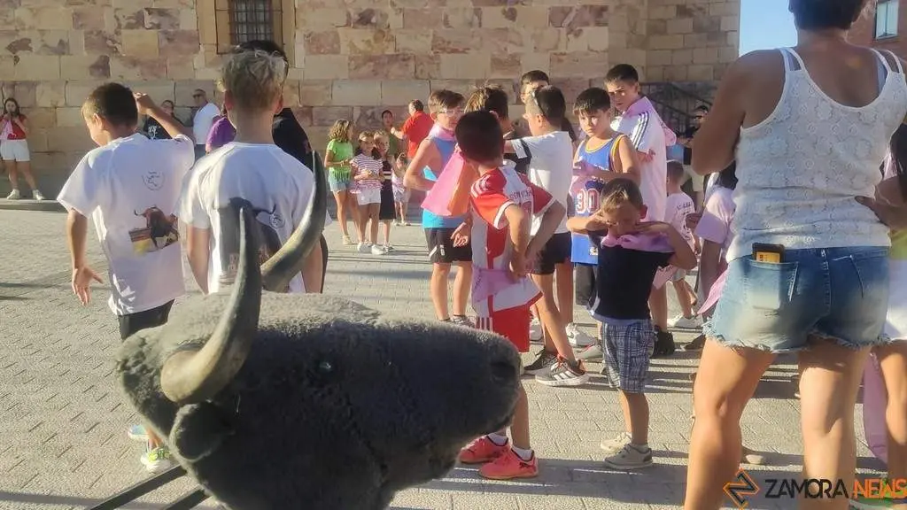 Tarde taurina para peques. Villaralbo_22