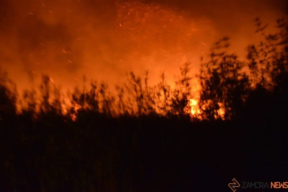 incendio fuego trabazos _164