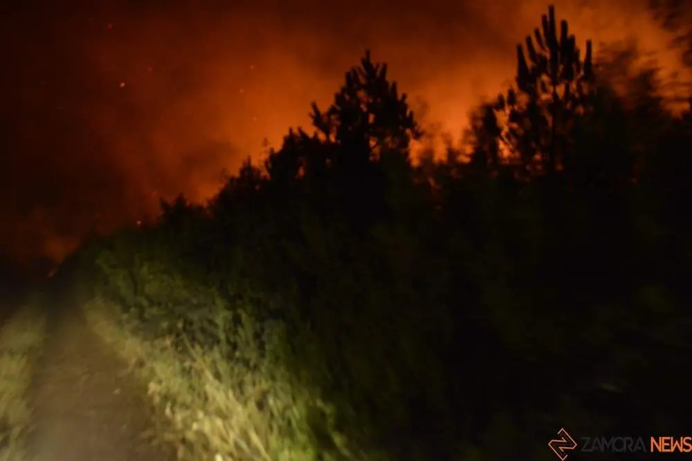 incendio fuego trabazos _167