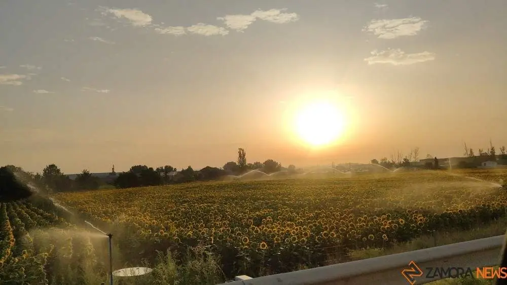calor zamora temperatura amanece