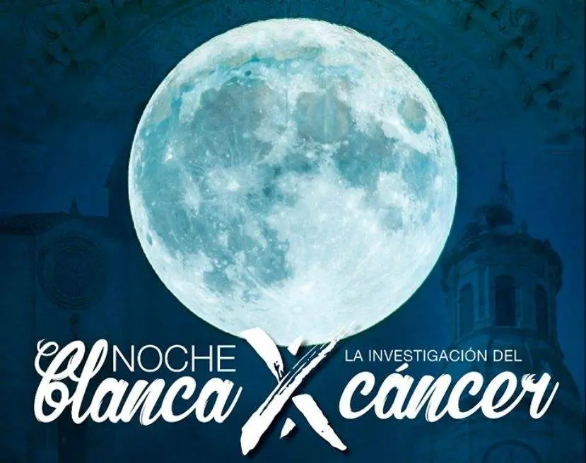 Noche Blanca Toro