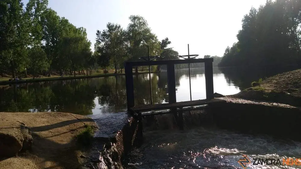 amazonas zamorano