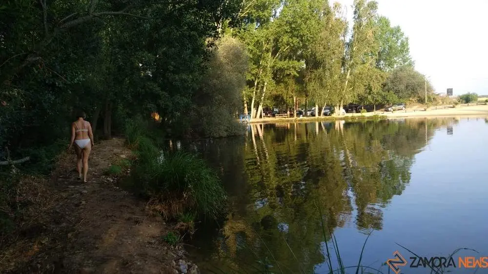 amazonas zamorano _2