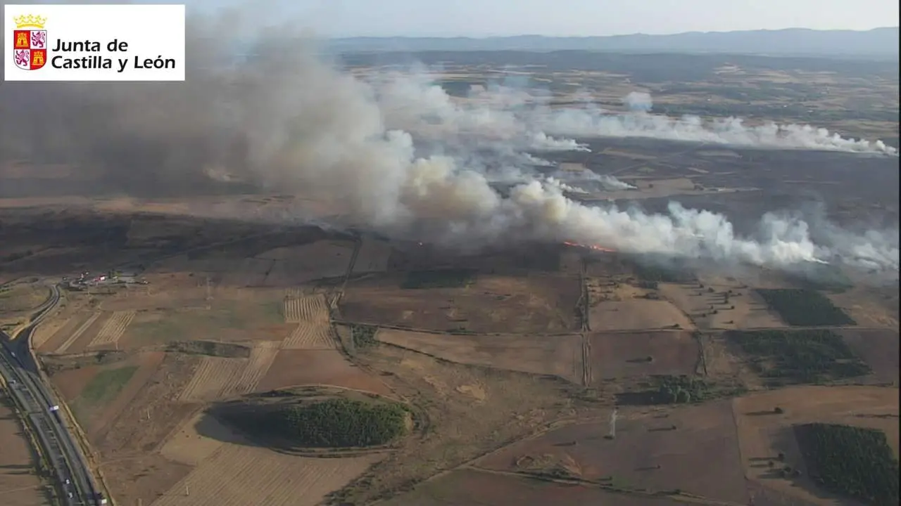 IFAstorga,de León IFCastrillodelosPolvazares (TWITTER NATURALEZACYL)