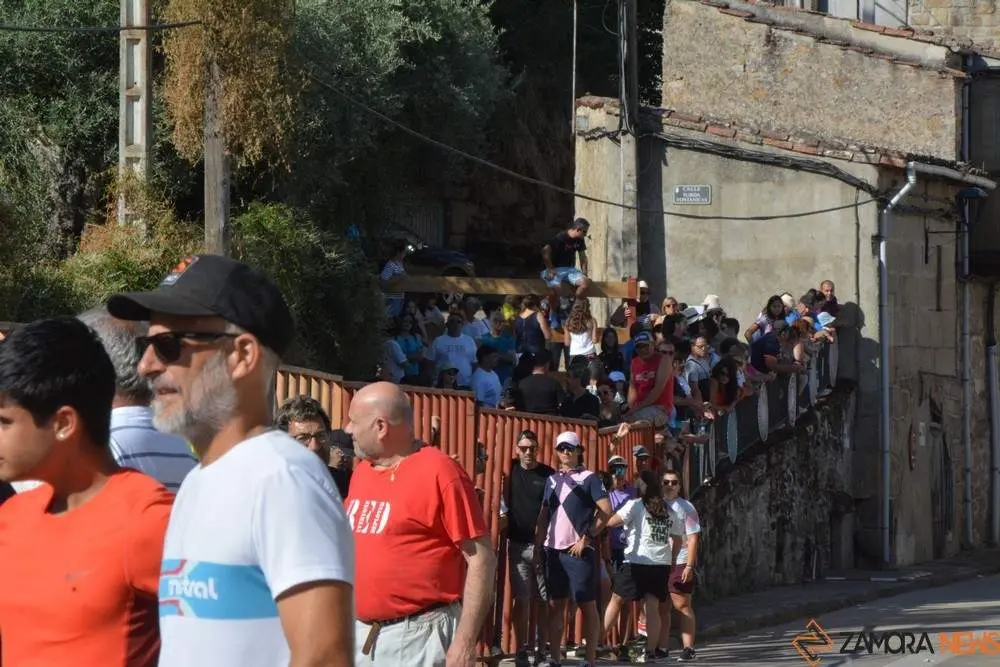 encierro sábado fermoselle _5