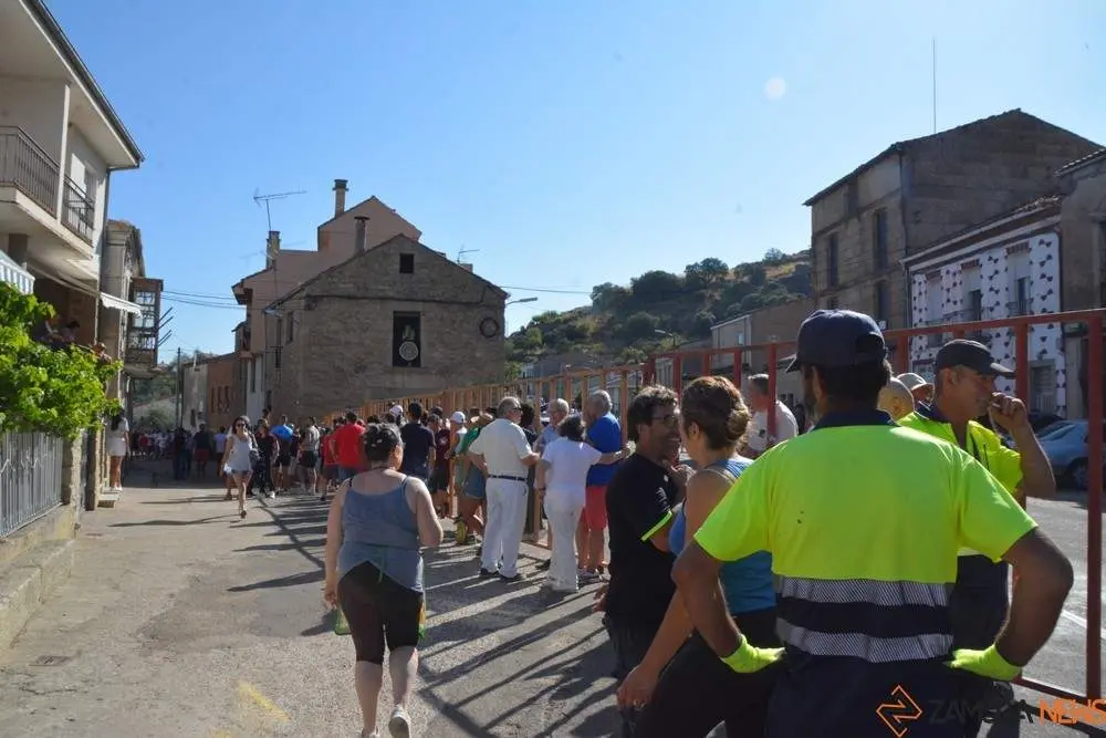 encierro sábado fermoselle _7