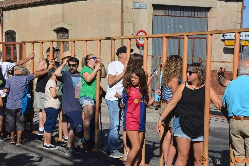 encierro sábado fermoselle _16