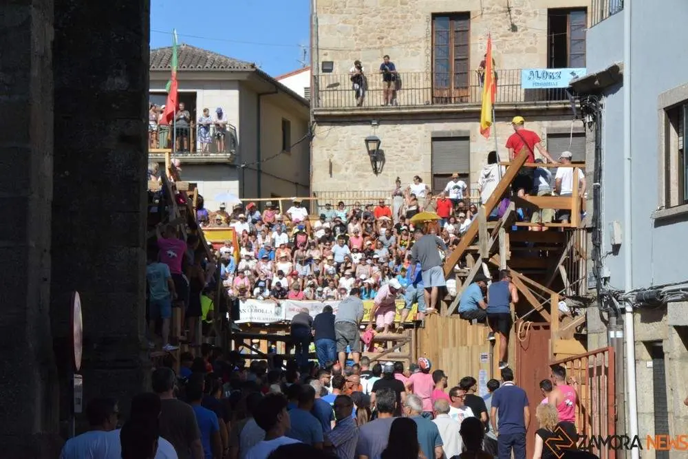 encierro sábado fermoselle _58