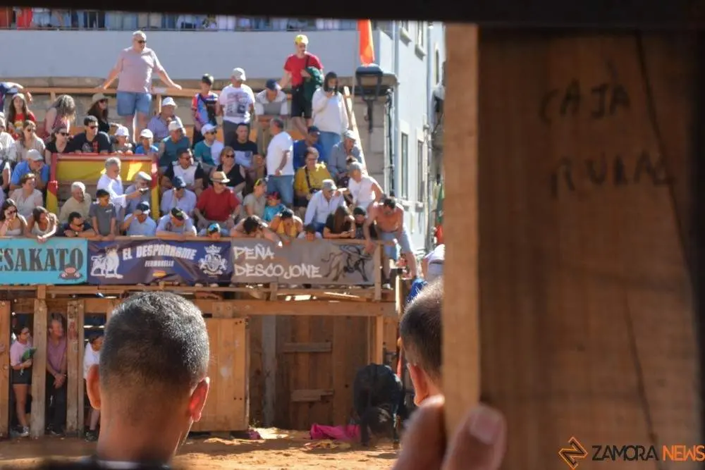 encierro sábado fermoselle _62