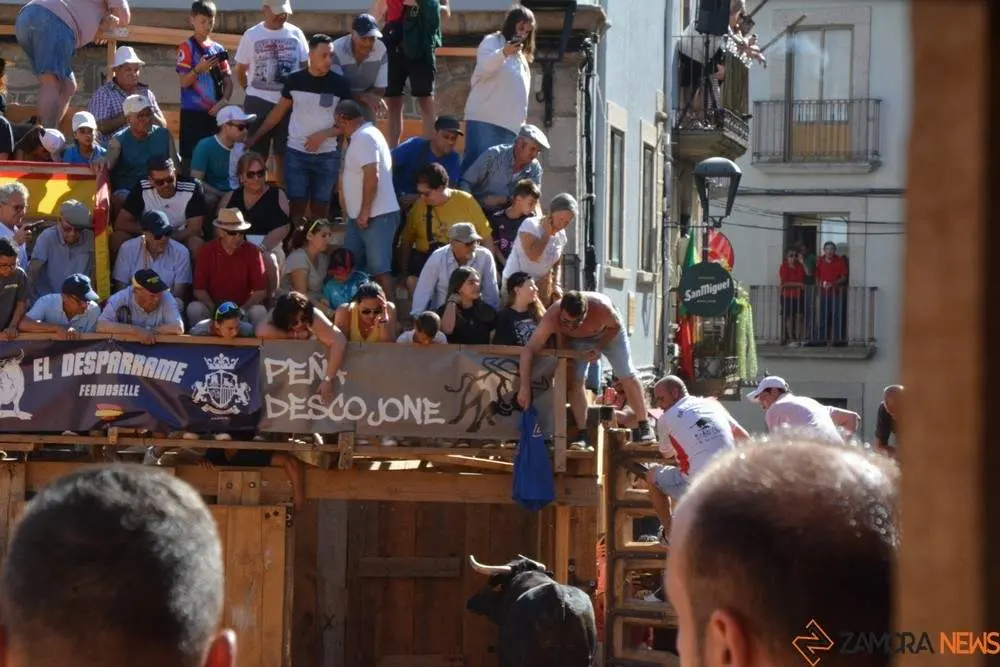 encierro sábado fermoselle _64