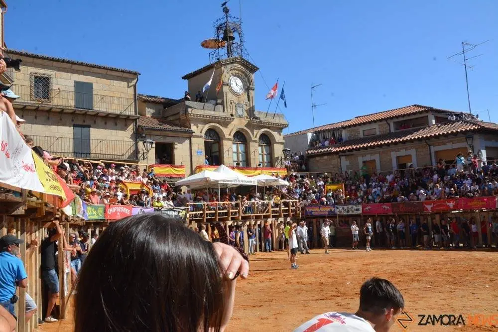 encierro sábado fermoselle _72