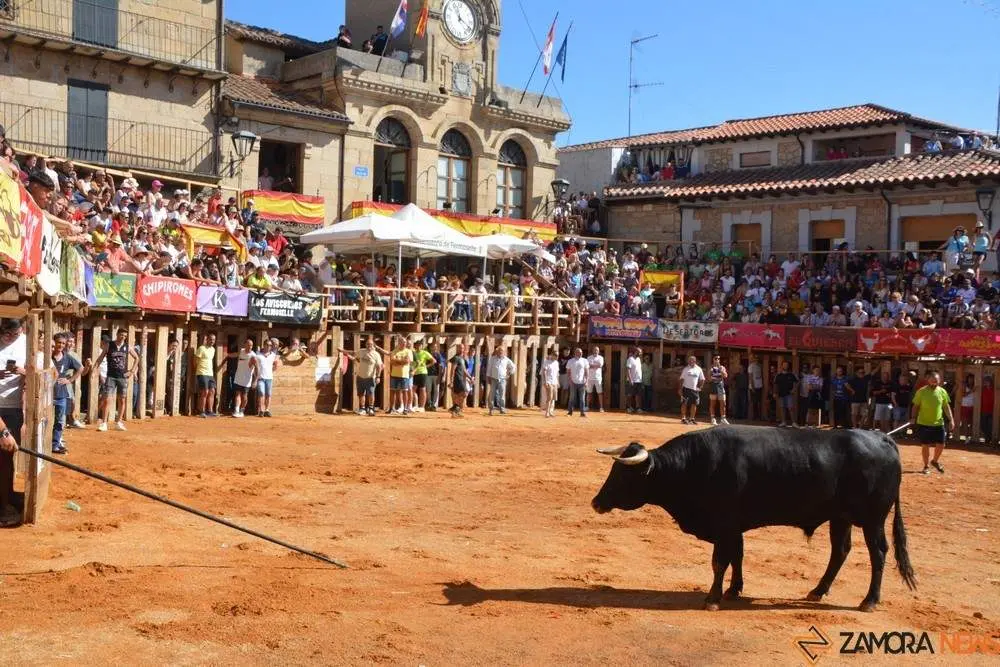 encierro sábado fermoselle _98