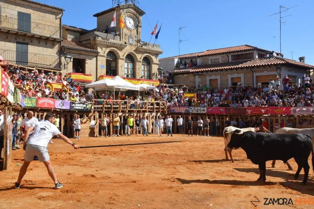 encierro sábado fermoselle _105