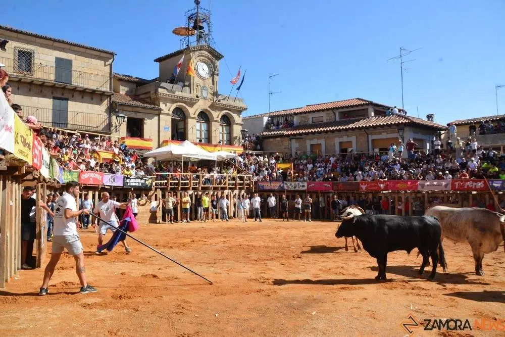 encierro sábado fermoselle _106
