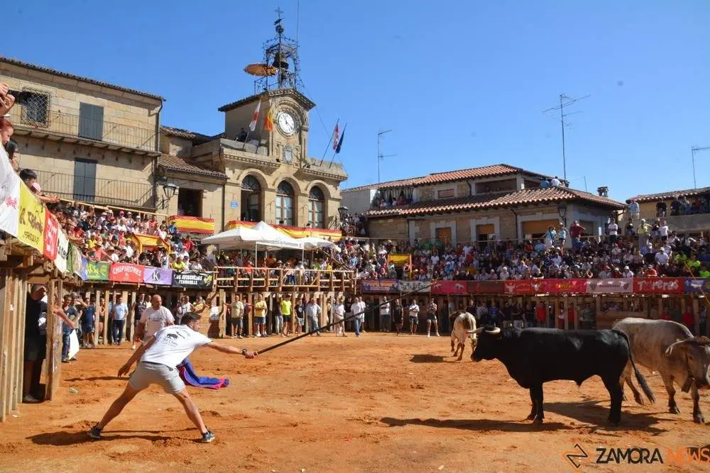 encierro sábado fermoselle _108