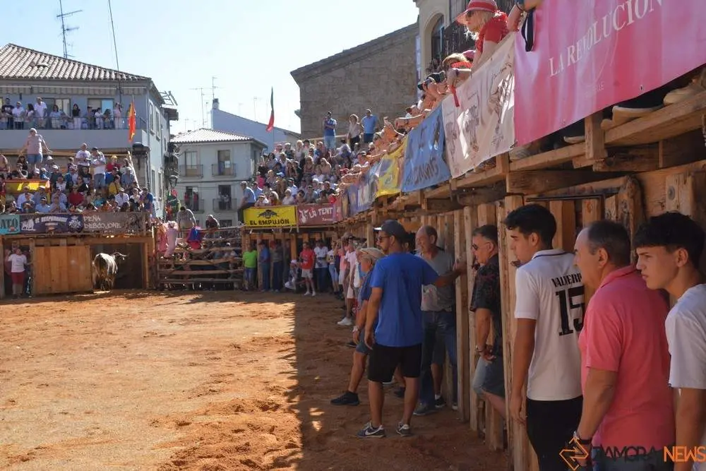 encierro s&aacute;bado fermoselle _99