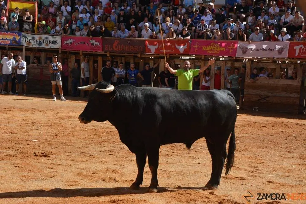 encierro s&aacute;bado fermoselle _100