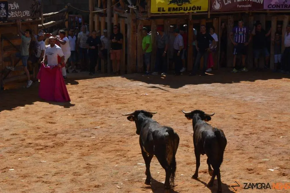 encierro s&aacute;bado fermoselle _140