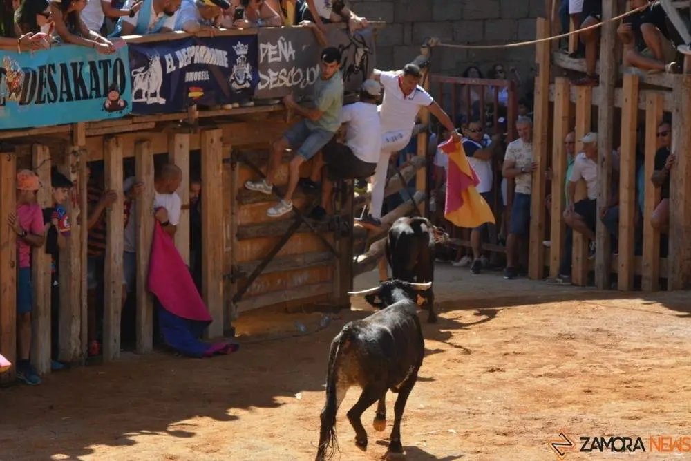encierro s&aacute;bado fermoselle _142