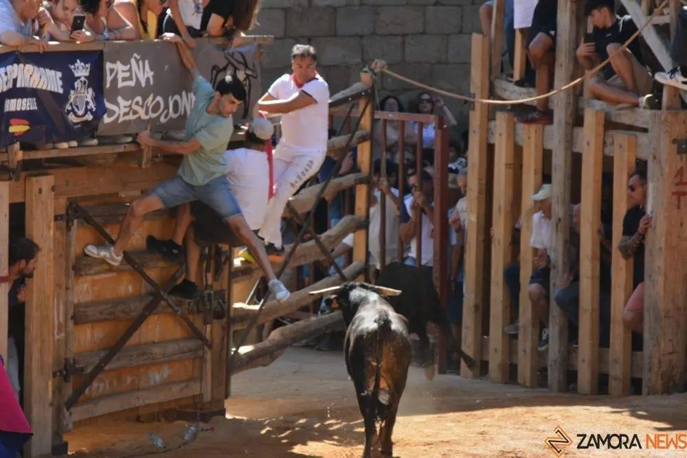 encierro s&aacute;bado fermoselle _143