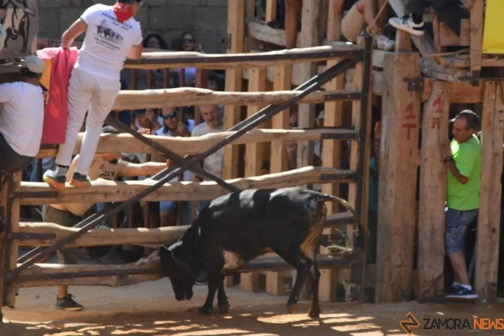 encierro s&aacute;bado fermoselle _144