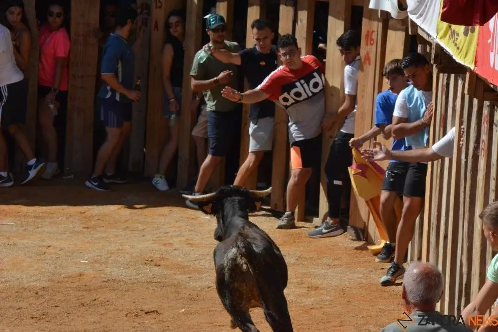 encierro s&aacute;bado fermoselle _146