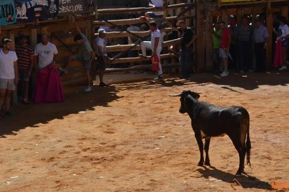 encierro s&aacute;bado fermoselle _149