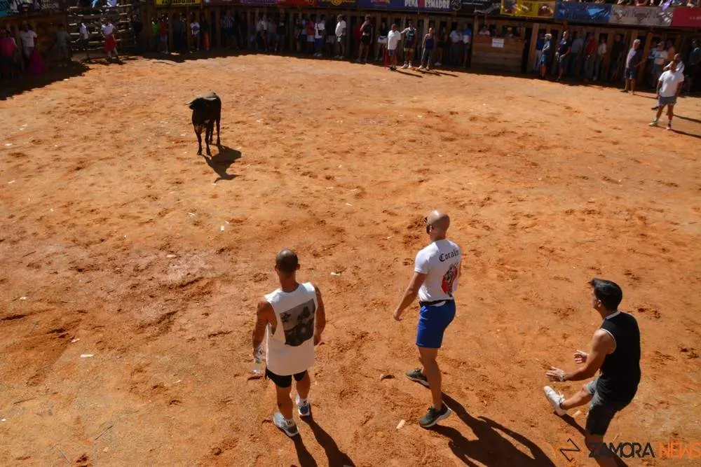 encierro s&aacute;bado fermoselle _150