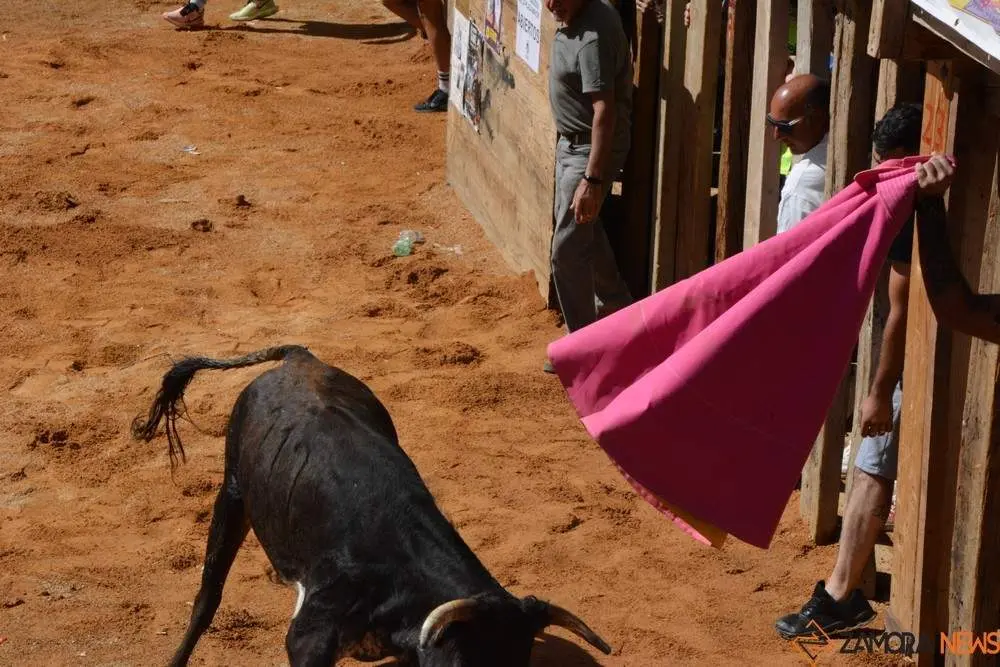 encierro s&aacute;bado fermoselle _152